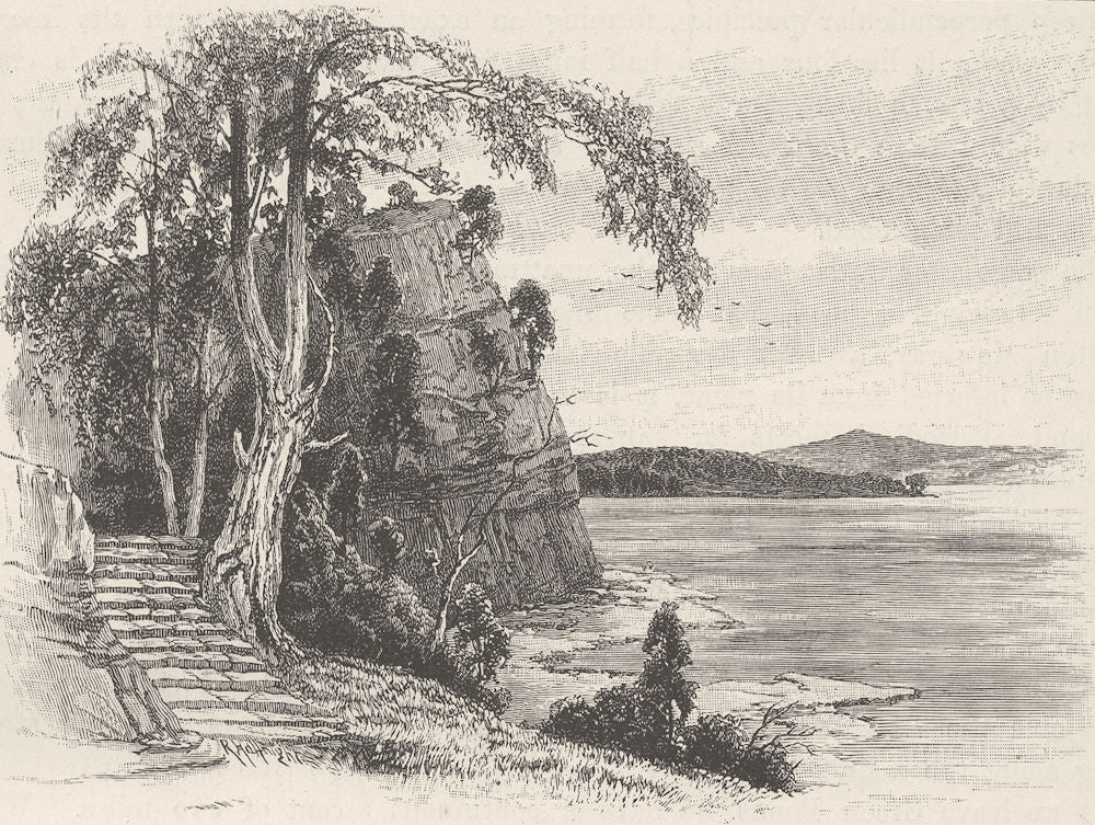 AUSTRALIA. Tasmania. bit of Derwent 1890 old antique vintage print picture